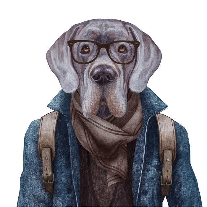 Hipster hound