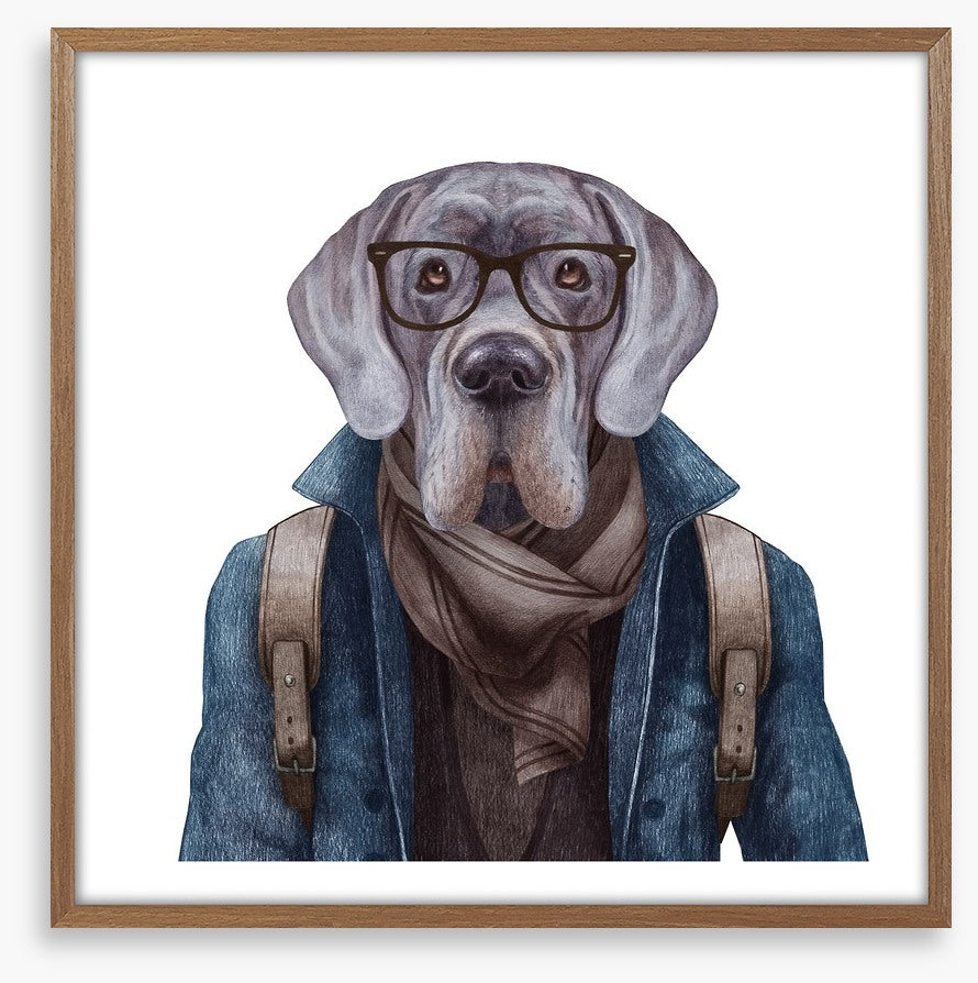 Hipster hound
