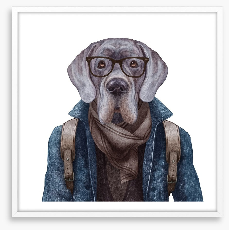 Hipster hound
