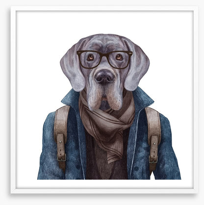 Hipster hound