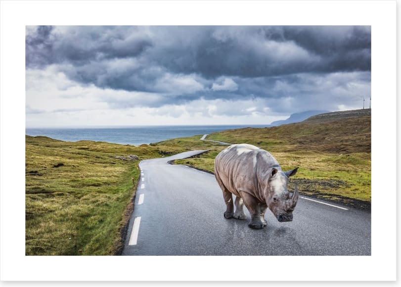 The lonely road