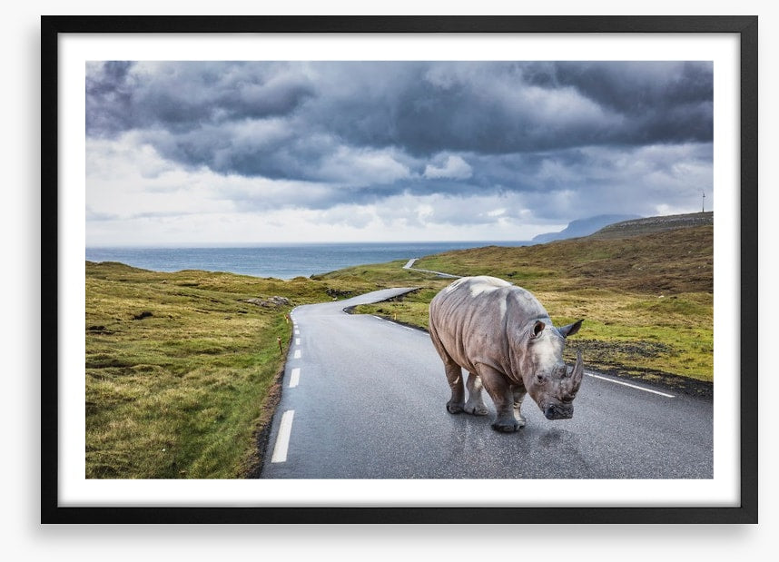 The lonely road