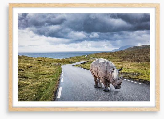 The lonely road