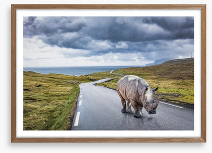 The lonely road