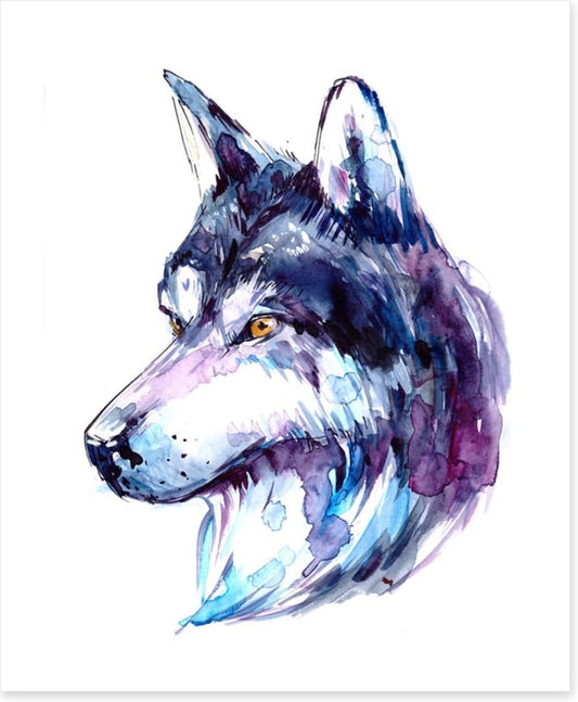 Animals