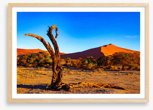 Desert