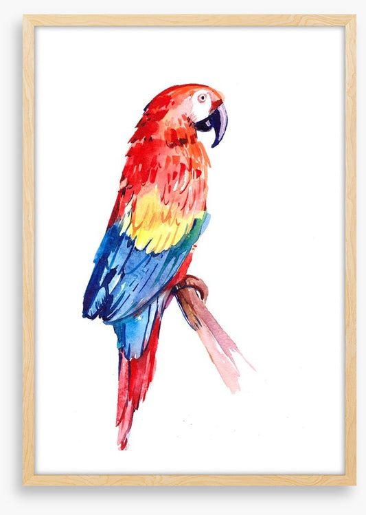 Paradise parrot perch
