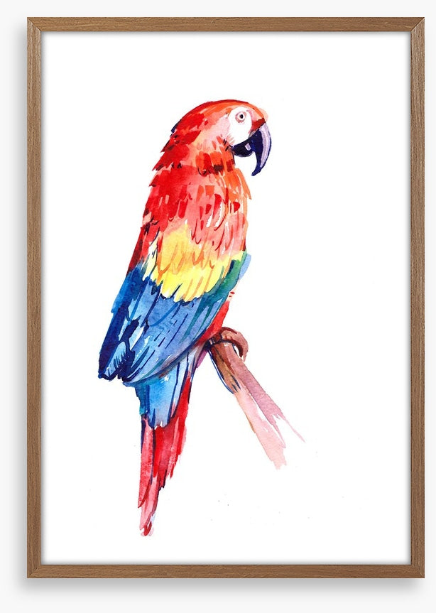 Paradise parrot perch