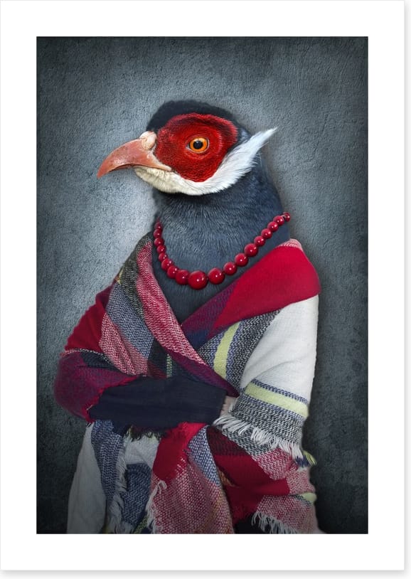 The old bird