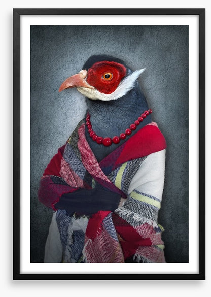 The old bird