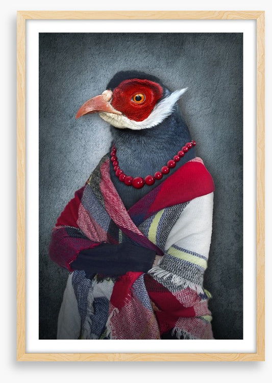The old bird