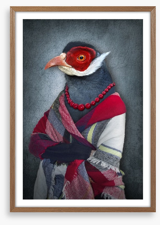The old bird