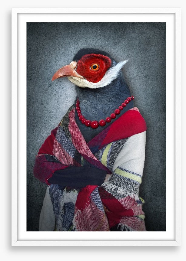 The old bird