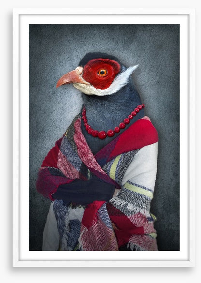 The old bird