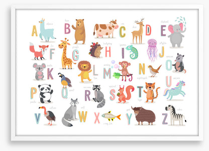 A is for alpaca