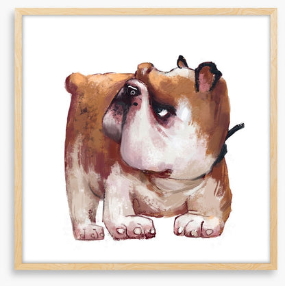 Cranky paws