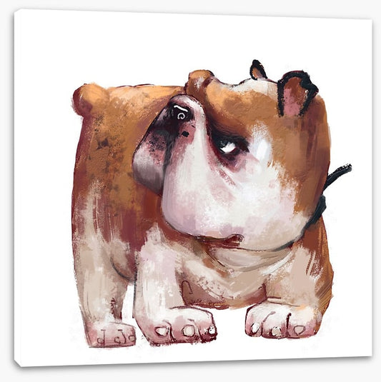 Cranky paws