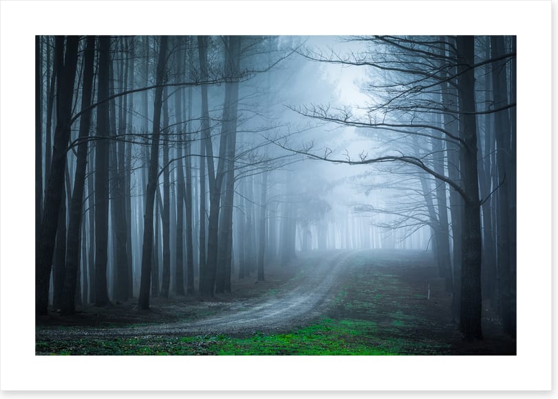 Black forest bend