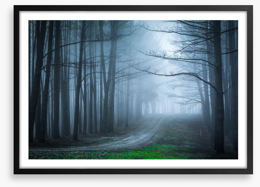 Black forest bend