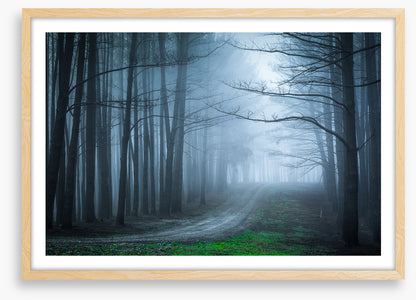 Black forest bend