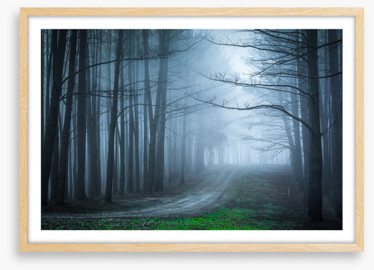 Black forest bend
