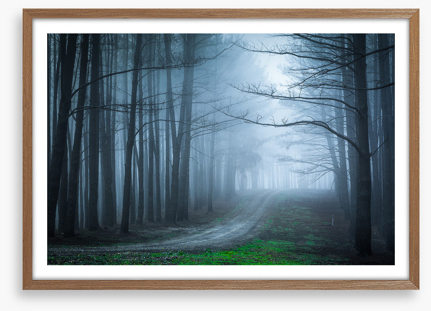 Black forest bend
