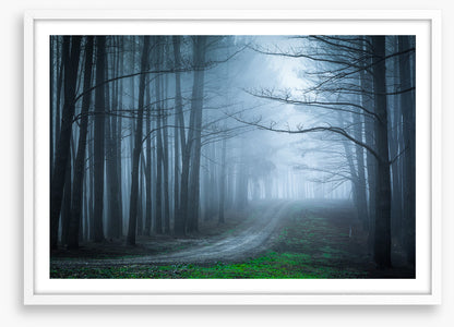 Black forest bend