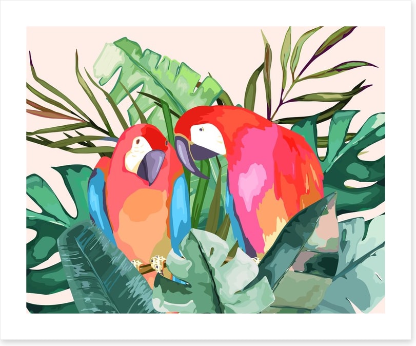 The parrot pair
