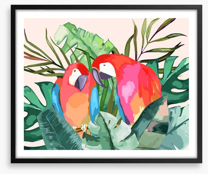 The parrot pair