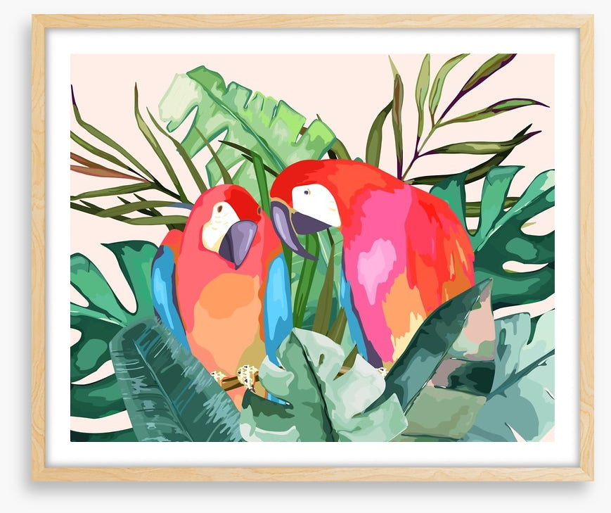 The parrot pair