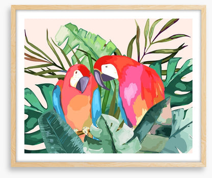 The parrot pair