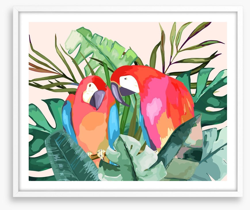 The parrot pair