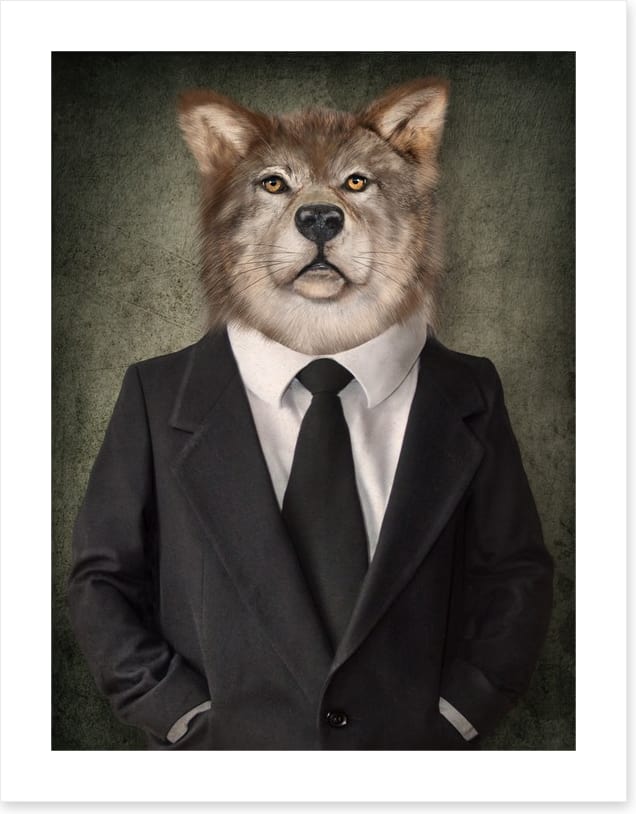 Wolf in man's clothing