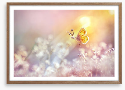 Golden flutter