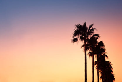 Height of summer