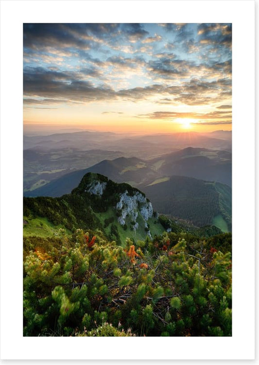 Summer summit