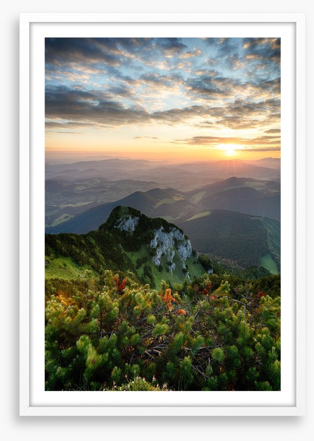 Summer summit