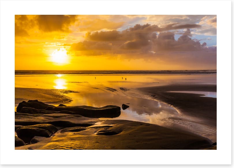 Auckland aglow