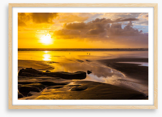 Auckland aglow