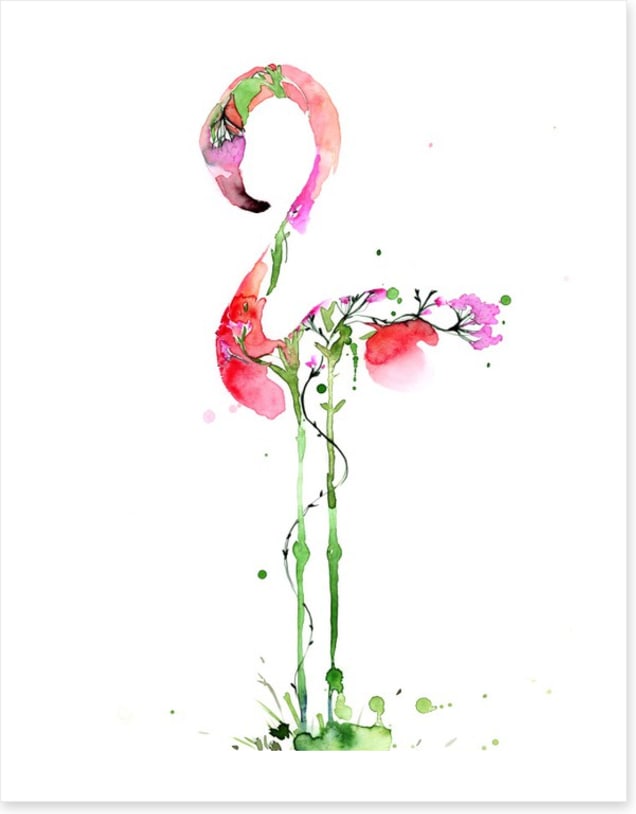 Flora flamingo