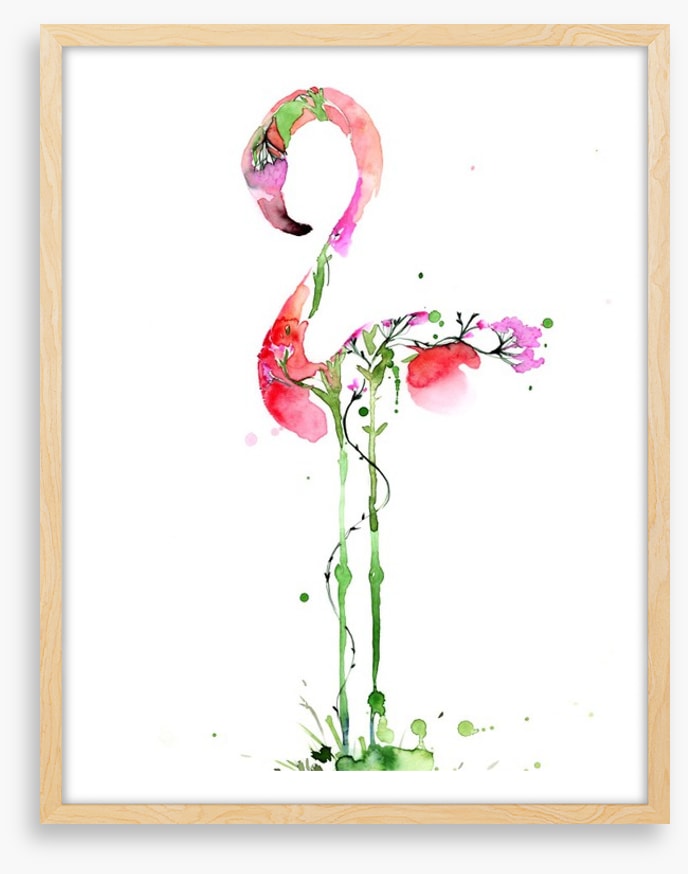Flora flamingo