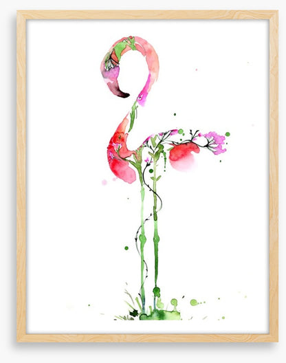 Flora flamingo