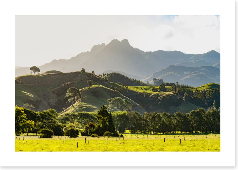 New Zealand