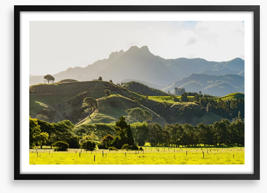 New Zealand