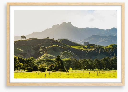 New Zealand
