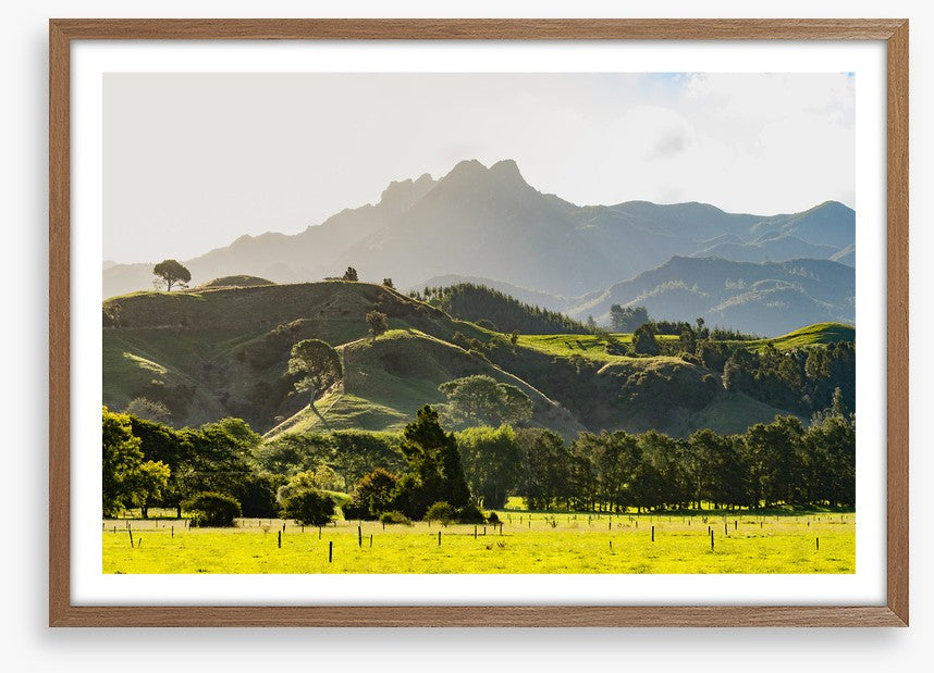 New Zealand