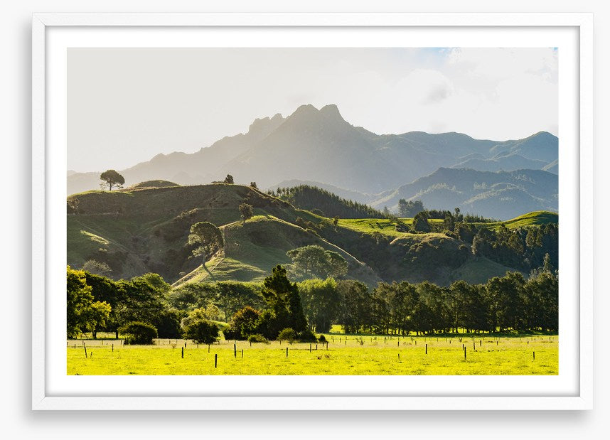 New Zealand