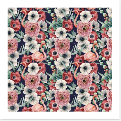 Ranunculus flamingos