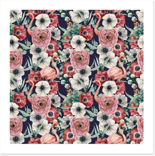 Ranunculus flamingos