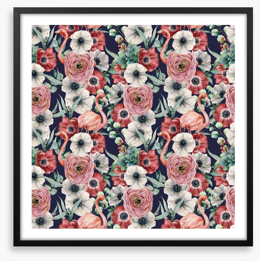 Ranunculus flamingos